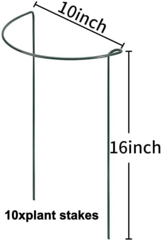 TCBWFY 10 Pack Garden Plant Support Stakes,10" Widex16 High Heavy Duty Interlinked Half Round Peony Support Ring Cage for Indoor Outdoor Plants,Plant Supports for Peony,Tomato,Hydrangea,Rose
