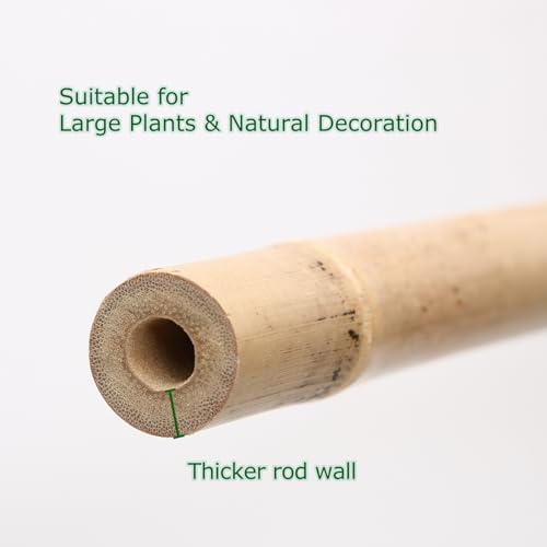 Bamboo Stakes 8 Feet, 1in Dia. Garden Stakes,10 Pack Bamboo Poles