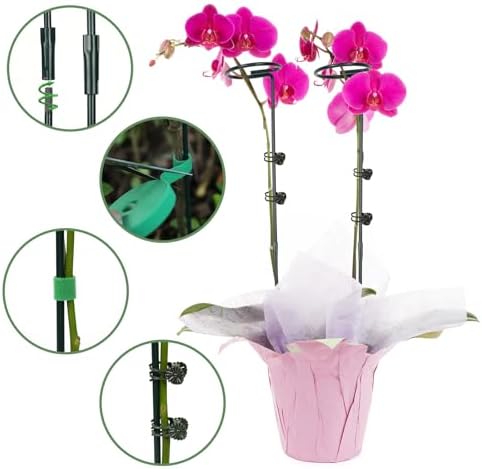 6 Packs Plant Support Sticks for Indoor Plants, Two Sizes (12 or 24 Inches) Orchid Stick and Clip, 0.18 inch Thicker Support Stake with Plant Ties and 12 Pcs Plant Clips for Flowers