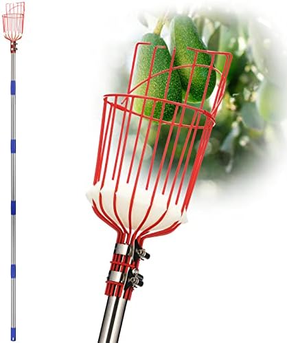 DonSail DnSail Fruit Picker Pole Tool with Basket Telescoping - Adjustable Mango Picker 35-68 inch Long Handle - Apple Orange Avocado Acorn Lemon Pear Pomelo Chery Picker for Tree