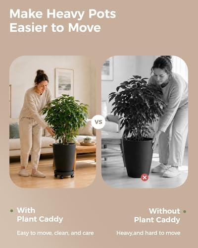 Bamworld Plant Caddy with Wheels 10 Inch Heavy Duty Plastic Rolling Plant Stand with Wheels, Plant Dolly with Non-Slip Base & Bottom Drip Tray for Indoor Outdoor (2 Pack ) Black