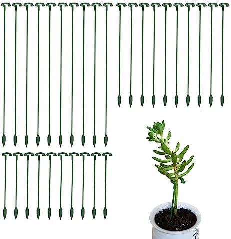 Pack of 30 Small Plant Stakes for Indoor Plants 3 Size