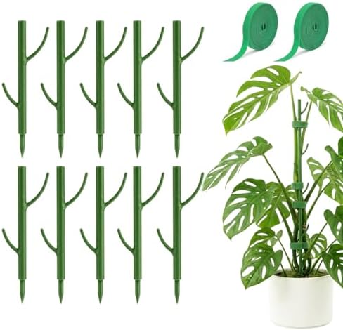 10-Piece Thick Plant Support Stakes: Stackable for Monstera Climbing Vines