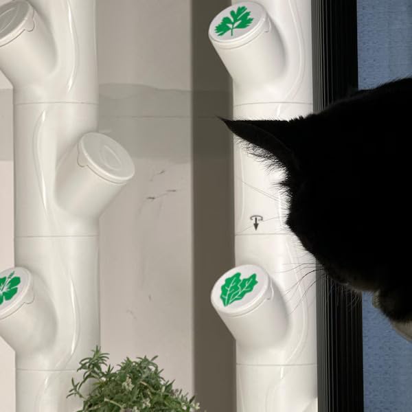 Grow Cubes for Hydroponic System/Compatible with Gardyn (10 Grow Cubes / 10 White caps)