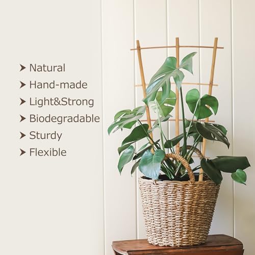 Plant Trellis Indoor, 16in Bamboo Trellises, 6 Pack Small Trellis