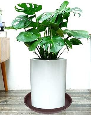 6 Pack of 10 inch Plant Saucer, Heavy Duty Plastic Plant Saucer 10 inch Round, Plant Tray for Pots, Flower Plant Saucers for Indoors, Plant Trays for Planter 8"/9"/10" (10", Chocolate)