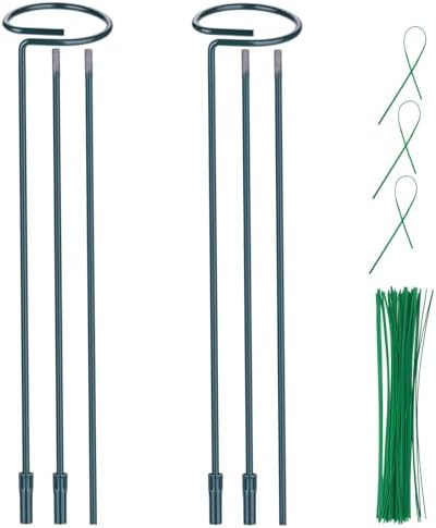 2 Pack (DIY) Plant Support Stakes, Three Sizes (12 or 24 or 36 inch) Plant Support Rings with 20 Pcs Plant Twist Ties, Garden Stake for Indoor Outdoor Plant Flowers, Amaryllis,Tomatoes
