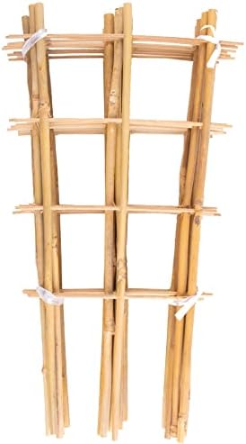 Avalution 10 Pack Bamboo Trellis for Climbing Plants 16" Natural Garden Ladder Trellis, Fan -Shaped Plant Support Trellis for Potted Plant Decor