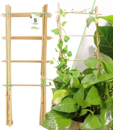 Avalution 5 Pack Bamboo Trellis for Climbing Plants Indoor, 16 Inch Garden Ladder Trellis for Potted Plants, Fan-Shaped Small Plant Support Trellis for Houseplants Ivy Hoya Vine Monstera