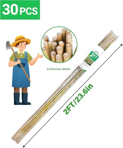 Natural Bamboo Plant Stake, 2FT, 30Pcs