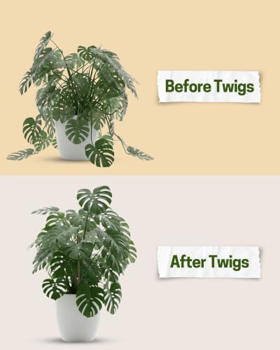 Stackable Monstera Plant Support Stakes, Monstera Dark Green, 10-Pack 17" L
