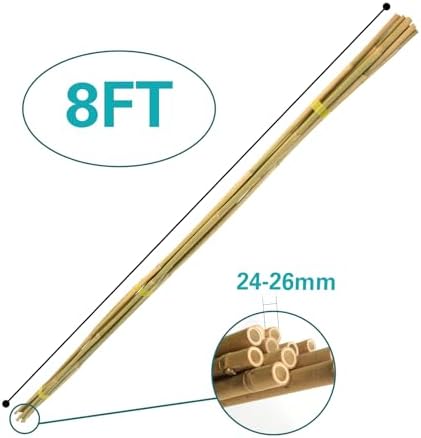 Bamboo Stakes Approx 8ft, 92 inch Garden Stakes Multi-Purpose, Bamboo Plant Support Stakes for Tomatos, Beans, Cucumbers, Peppers, Potted Trees, Maintain the plant Posture, Strengthen and Stem