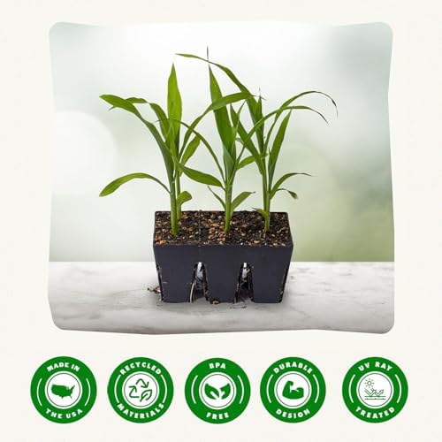 6-Cell Seed Starter Tray - 48 Trays - Black