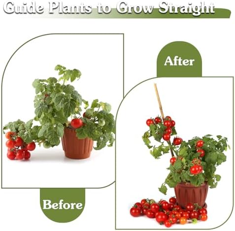 Plant Stakes 16inch, HAINANSTRY 20Pcs Natural Bamboo Sticks Garden Stakes