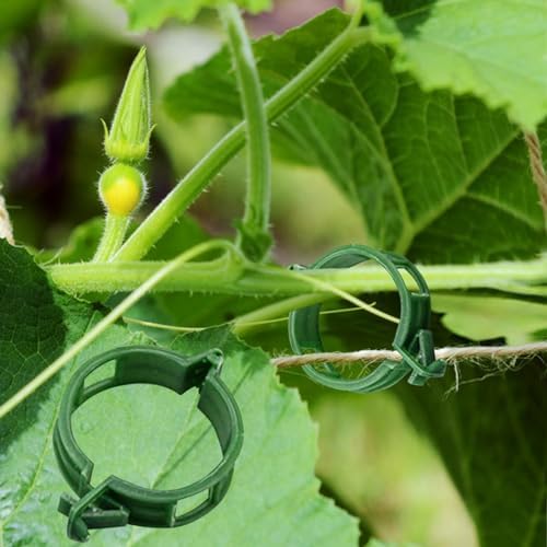 Winmany 100PCS Plant Support Garden Clips Tomato Supports/Connects Plants/Twine/Vines Trellis/Cages Vine Vegetable Fastening Clip Grafting Tools Make Grow Upright and Healthier