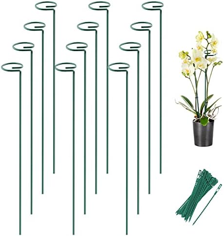 12 Pack 24 Inch Plant Support Stakes for Outdoor Plants and Indoor Flowers