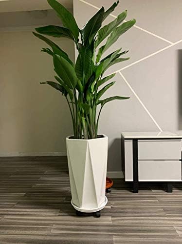 2 Pack 15.5" White Plant Caddy Round Movable Planter with Easy Moving Caster Wheels Dolly Trolley Tray Pallet Outdoor Indoor Tree Flower Stand Planter