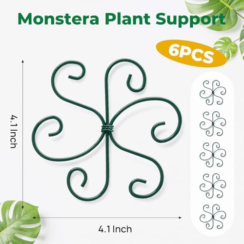 6PCS Monstera Plant Support, 4.1IN Green Metal Plant Stem Support Stakes, Adjustable Indoor Outdoor Potted Climbing Plant Stakes, Monstera Stabilizer Supports