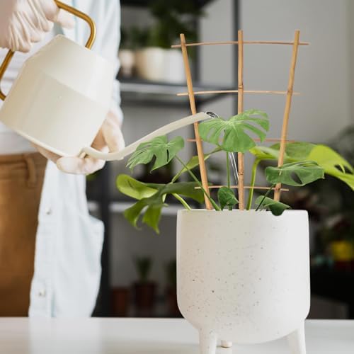 Plant Trellis Indoor, 16in Bamboo Trellises, 6 Pack Small Trellis