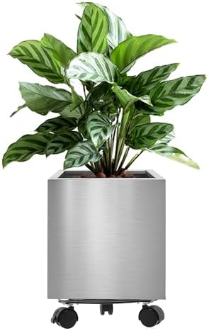 11.8 Inch Square Planter, Modern Indoor Outdoor Large Stainless Steel Plant Pot and Plant Caddy with Wheels for Home Patio Garden, Easy to Clean and Move