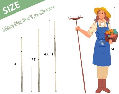 bamboo stakes,3Feet,50Pcs,Plant Bamboo Post,GUANGYE,Bamboo Garden Stakes