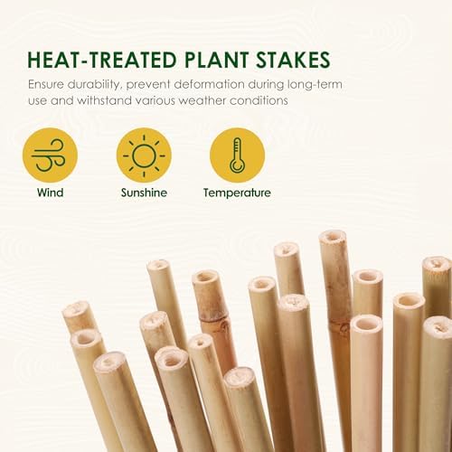 Bamboo Stakes 3ft, 50 Pack Garden Stakes, Bamboo Sticks for Plant
