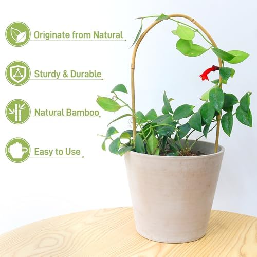Avalution 16" Natural Bamboo Plants Trellis U-Hoop,Bamboo Gaeden Trellis U-Shape for Climbing Plant Support-10PCS
