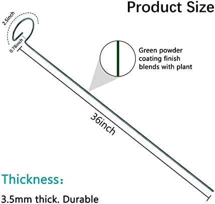 36 Inch 12 Packs Plant Support Stakes,Garden Single stemmed Plant Support Hoops, Plant Prop, for Flowers,Orchid, Tomatoes Peony Lily Rose (36 inch)