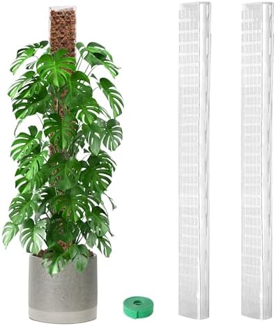 EOX Plastic Moss Pole for Monstera and Climbing Plants, 36-Inch, 2-Pack