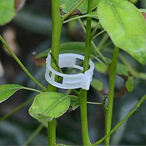 100PCS Plant Support Garden Clips Tomato Clips Supports/Connects Plants/Twine/Vines Trellis/Cages Plant Vine Vegetable Fastening Clip Grafting Tools Make Plant Grow Upright and Healthier (100PCS)