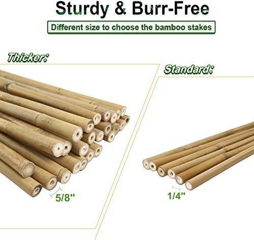 Jollybower 20pcs 5/8" D Thicker Heavy Duty Bamboo Stakes, 6FT Plant Stakes, Natural Garden Stakes for Tomato, Bean, Flowers,Trees Potted and Climbing Plant Support