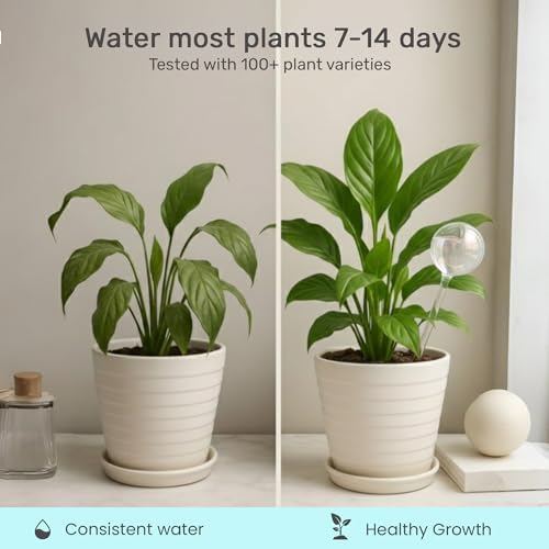 Watering Globe 10 Pack – Anti-Clog Plastic Inserts for Plant Globes