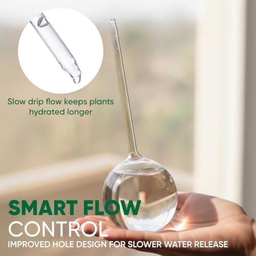 Clear Plant Watering Globes Set of 2, Large - Glass Self Watering Globes