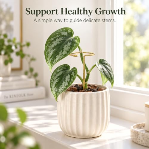 8.2in Plant Stem Support for Monstera, 10pcs Indoor Potted Plant Supports