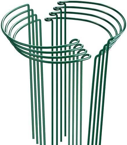 HiGift Peony Cages and Supports 24" H x 10" W, 8 Pack Tall Snake Plant Support Stake Half Round Metal Garden Stake for Indoor and Outdoor Plants, Flower Support Ring Border for Tomato,Hydrangea,Rose