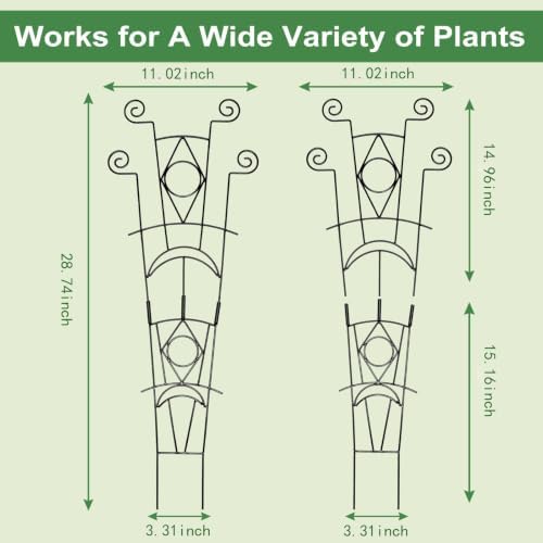 Yhtpouqe Indoor Plant Trellis for Climbing Plants 2 Pack Small Garden Metal Support for Potted Plants Flowers Houseplants for Outdoor