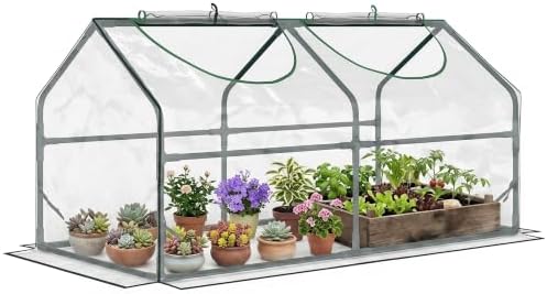 4' x 2' x 2' Portable Mini Greenhouse, Small Outdoor Garden Greenhouse with PE Cover, Roll-Up Zippered Windows (Clear)