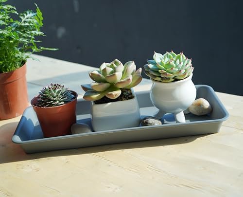 VUWEZ 2 Pack of Plastic Plant Tray Saucer Rectangular 14 inch, Plant Trays Saucers for Indoors Outdoor, Plant Water Drip Tray for Flower Pot Planter, Windowsill Plant Tray (6.8 X 14.5'', Gray)