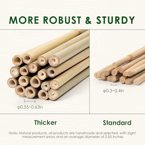 Bamboo Stakes 4ft, Thicker Plant Stakes with Garden Twine,20 Pack