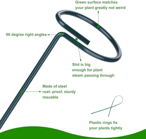 2 Pack (DIY) Plant Support Stakes, Three Sizes (12 or 24 or 36 inch) Plant Support Rings with 20 Pcs Plant Twist Ties, Garden Stake for Indoor Outdoor Plant Flowers, Amaryllis,Tomatoes