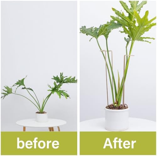 10 PCS Large Indoor Plant Stakes 15.5" Heavy Duty Metal Supports