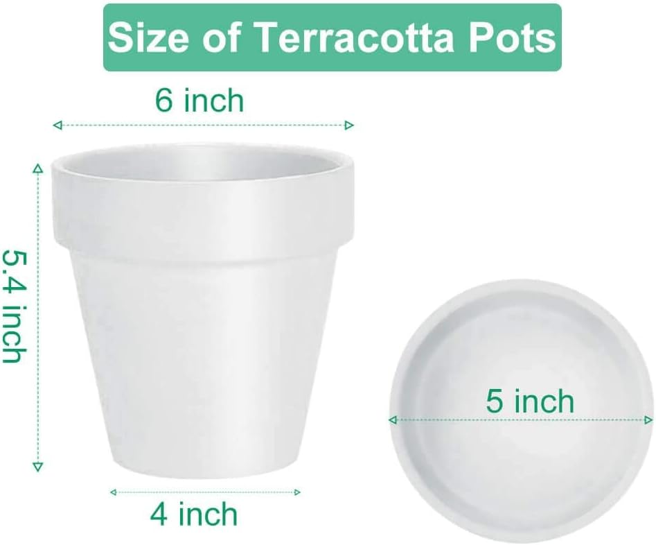 vensovo 6 Inch White Terracotta & Clay Pots for Plant with Saucer - 4 Pack Medium Terra Cotta Planter with Drainage Hole, Flowerpot for Indoor Outdoor Plants, Crafts, Wedding Favor