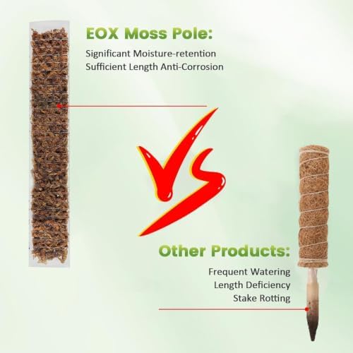 EOX Plastic Moss Pole for Monstera and Climbing Plants, 24/36-Inch, 4-Pack