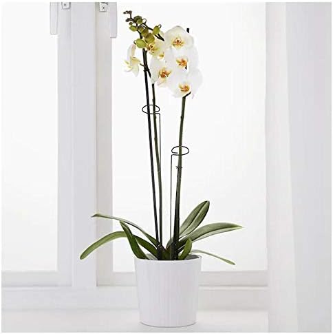 20 Pieces 24 inch Green Single Stem Plant Stakes Flower Support Rings,Gardening Planter Cages for Single Stem Flowers, Amaryllis, Peony, Lily,Narcissus