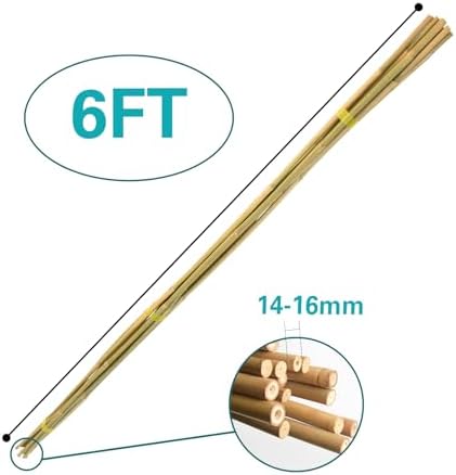 20pcs Bamboo Stakes 6 Feet, 6FT Garden Stakes Multi-Purpose, 5/8" Dia Plant Stakes for Tomatoes, Beans, Cucumbers, Peppers, Potted Trees, Maintain the Plant Posture, Strengthen and Stem