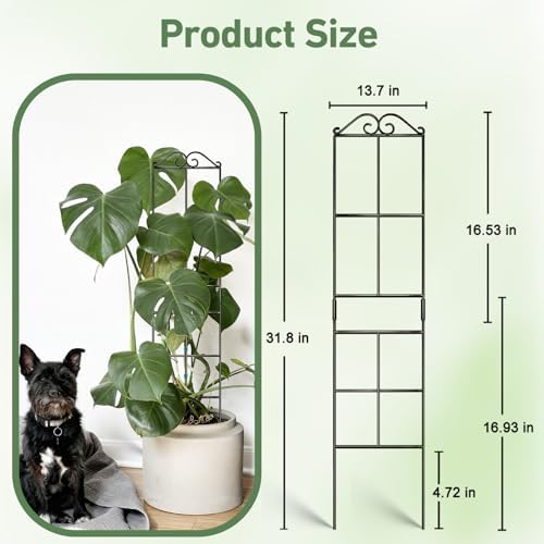 31.8'' Stackable Plant Trellis Indoor, Metal Trellis for Climbing Plants Indoor, House Plant Support with Soft Ties for Monstera Hoya Pothos, 2P