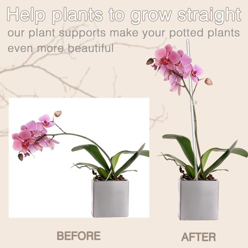 16IN Plant Stakes, Plant Sticks 20PCS Acrylic Clear Plant Support Stakes