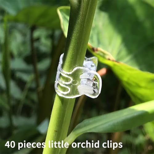 80 Pcs Orchid Clips Butterfly Dragonfly Shaped Plant Clips Flower Plant Support Clip for Garden Vine Stem Plants Climbing Clasp Plant Orchid Clip, Transparent, 3 Styles