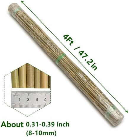 60 Pack Bamboo Stakes for Plant, 4 Feet