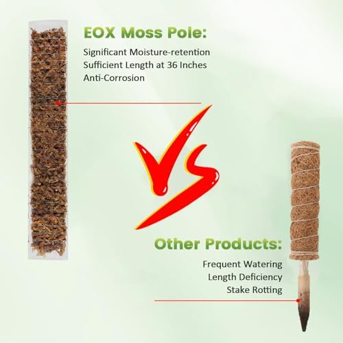 EOX Plastic Moss Pole for Monstera and Climbing Plants, 36-Inch, 2-Pack